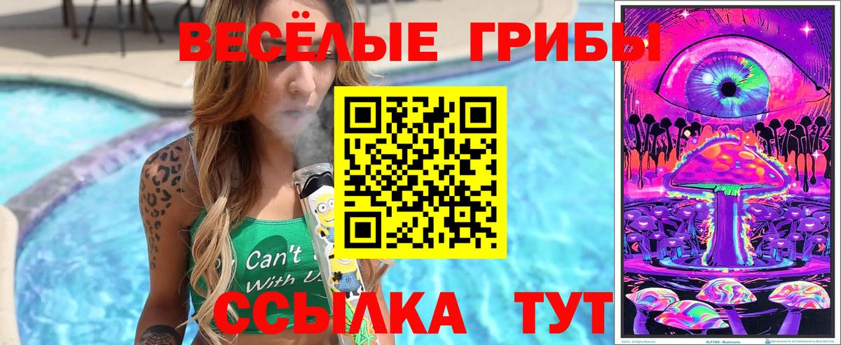 Псилоцибиновые грибы MAGIC MUSHROOMS  Вход с VPN  Углич 