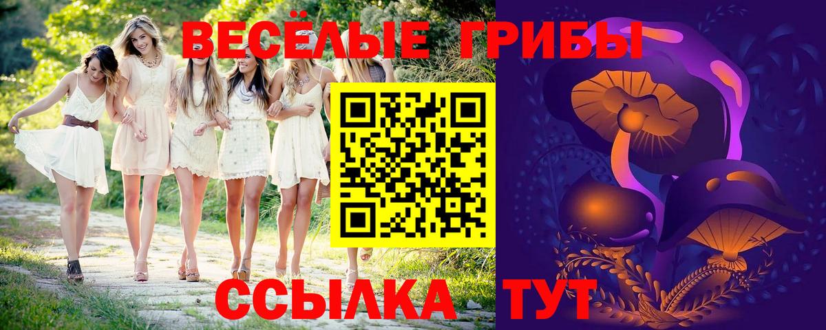 Псилоцибиновые грибы GOLDEN TEACHER Углич